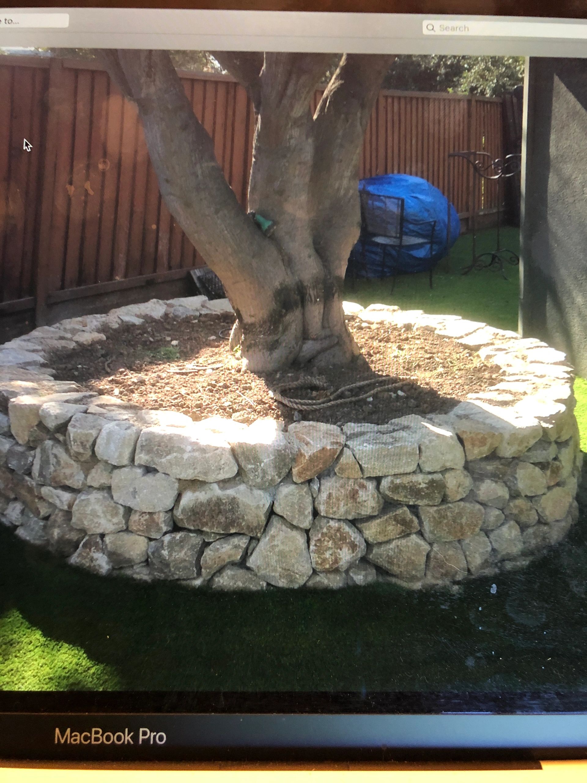 Tree surrounded by decorative stone wall