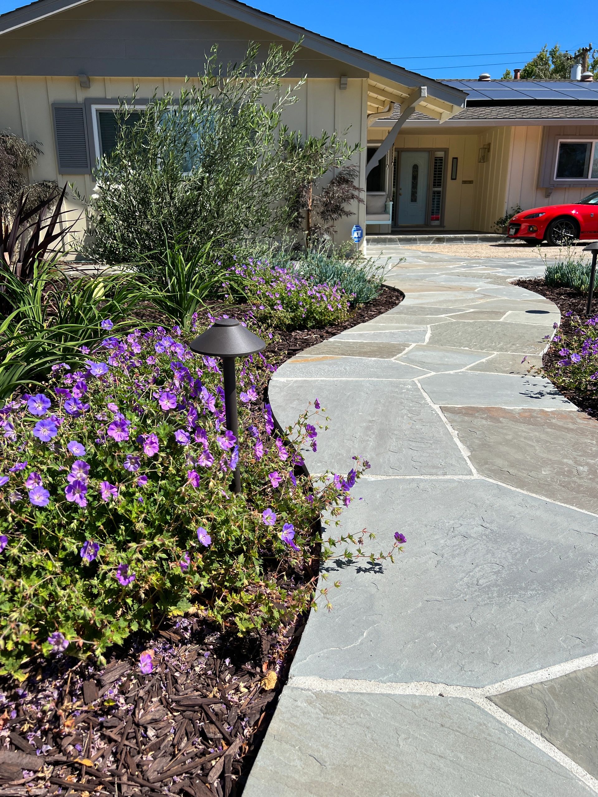 Stone path with purple flowers
