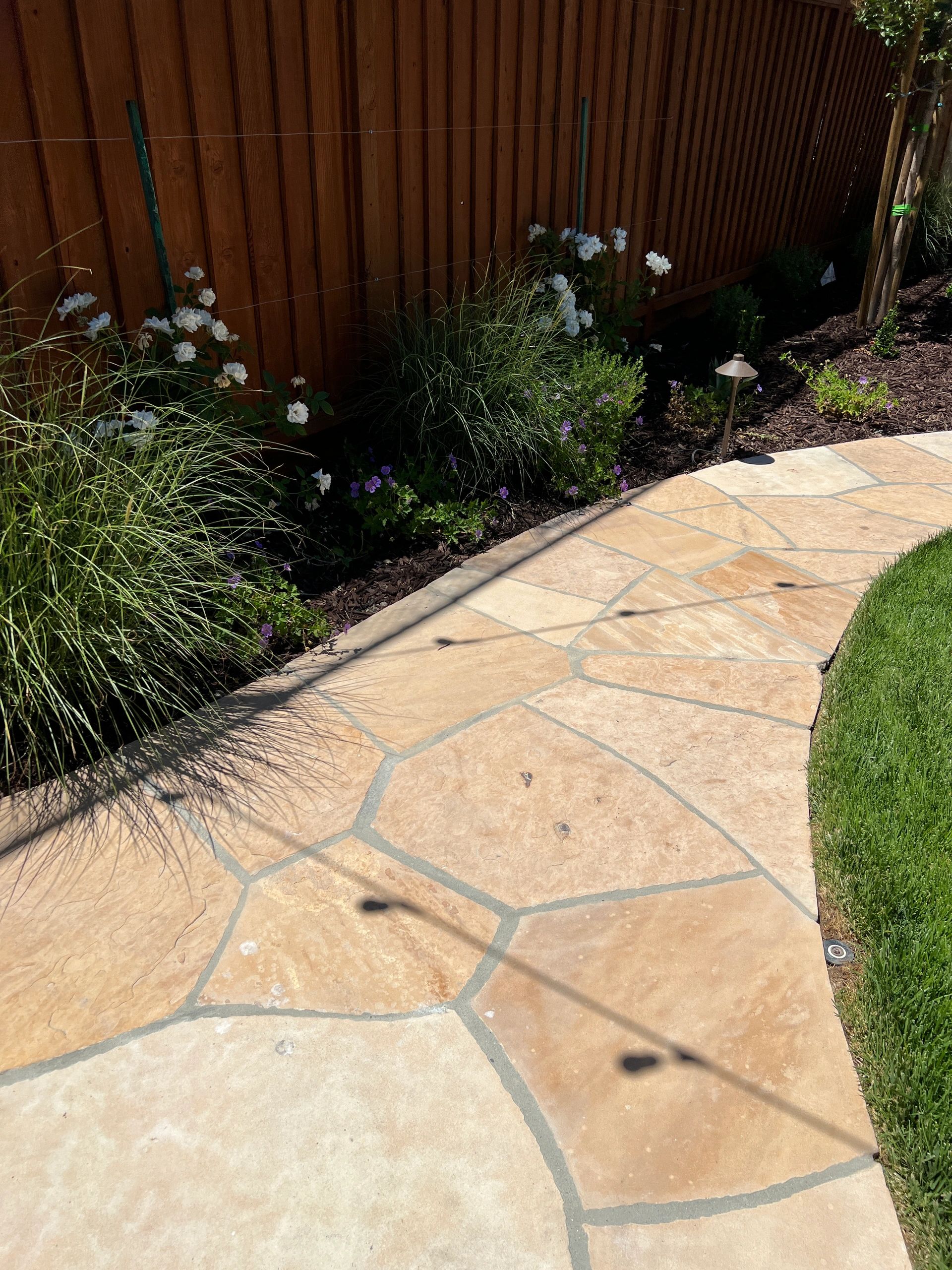 Garden path with blooming flowers and grass