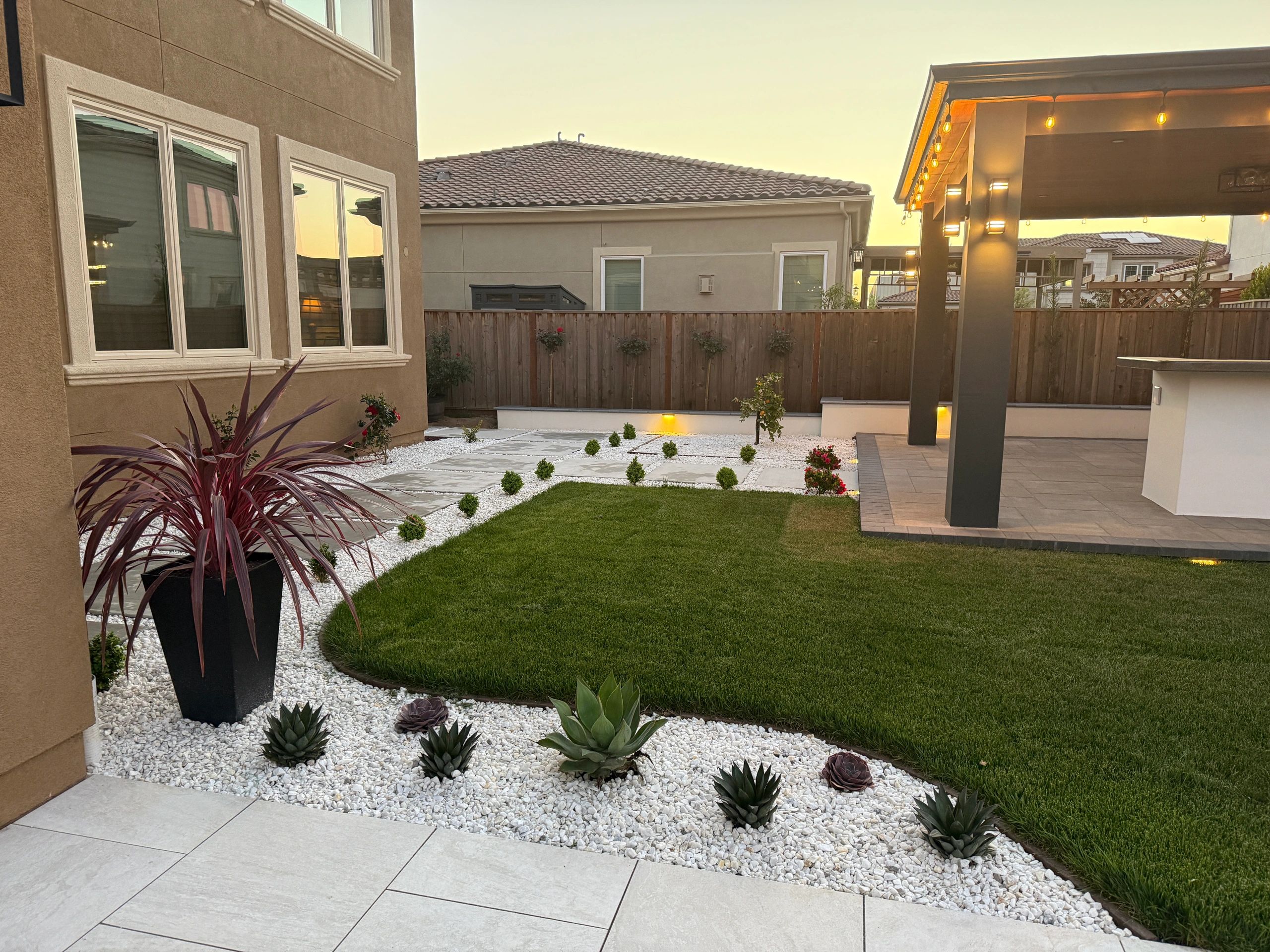 Modern backyard with landscaped garden