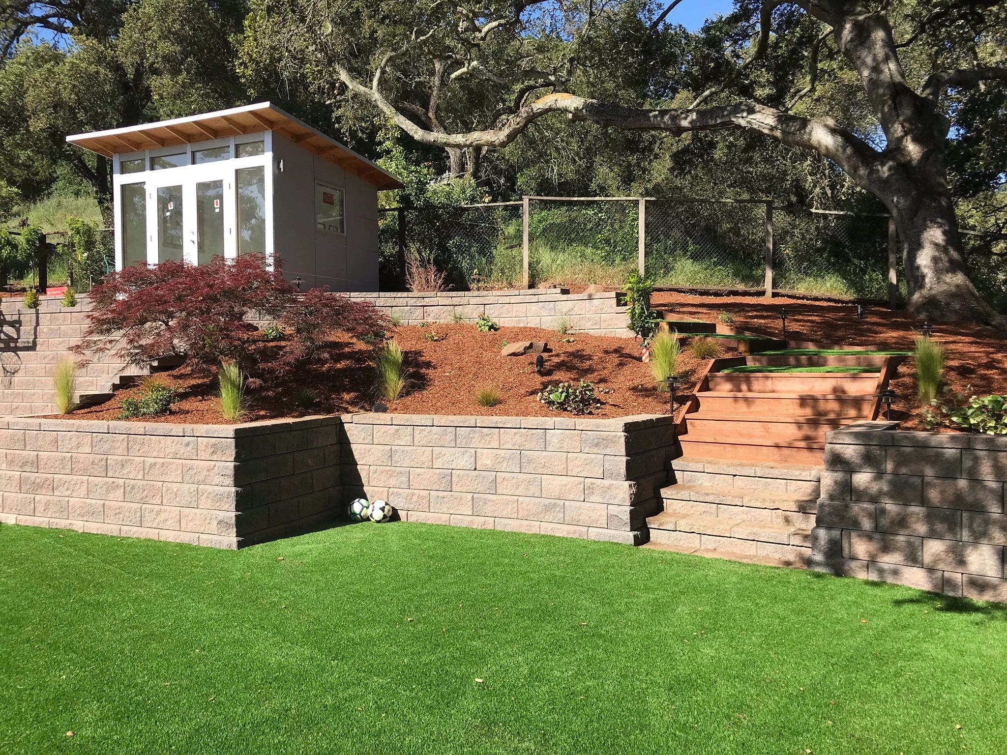 Modern shed amidst lush garden