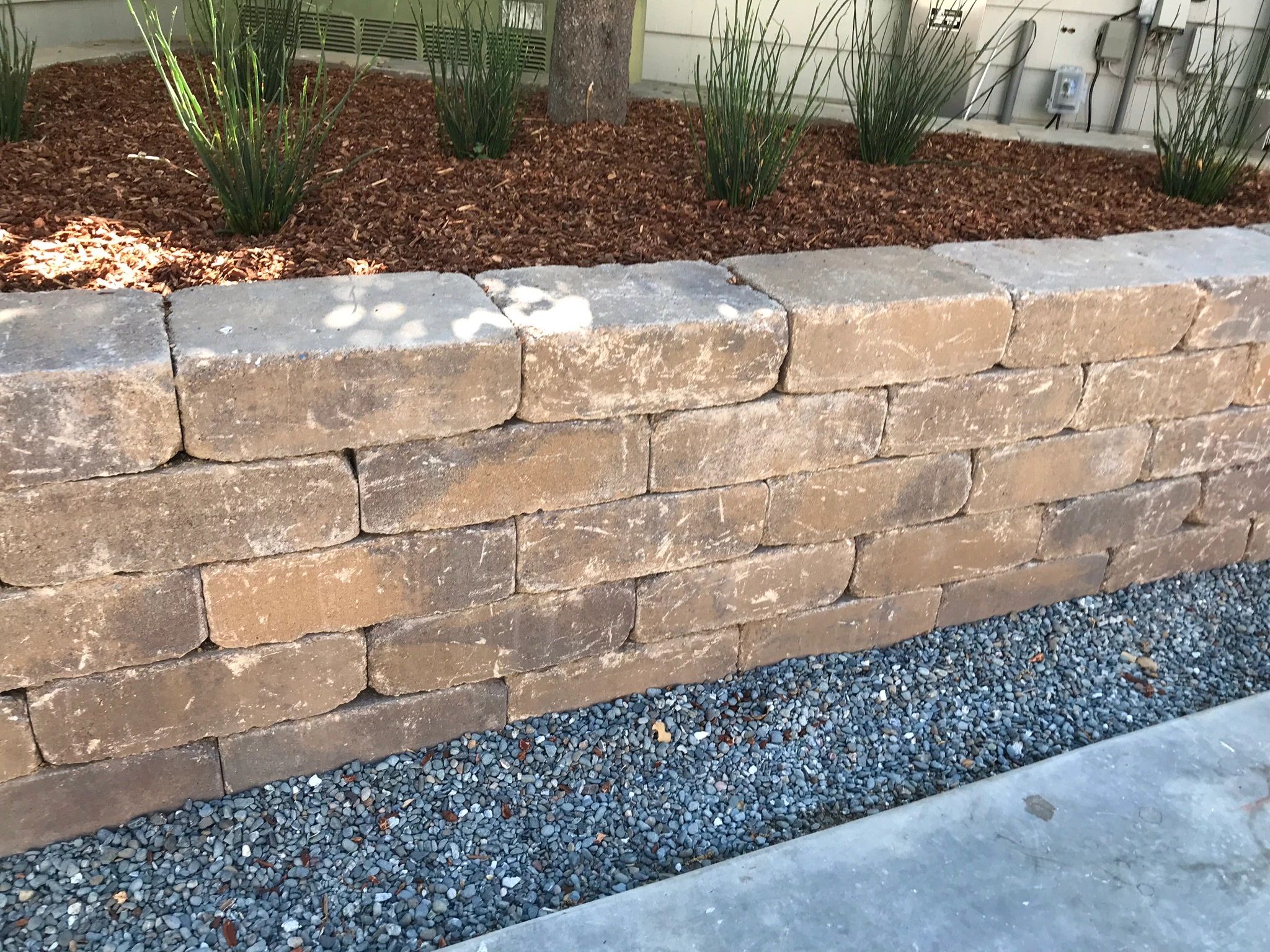 Garden wall with mulch and greenery