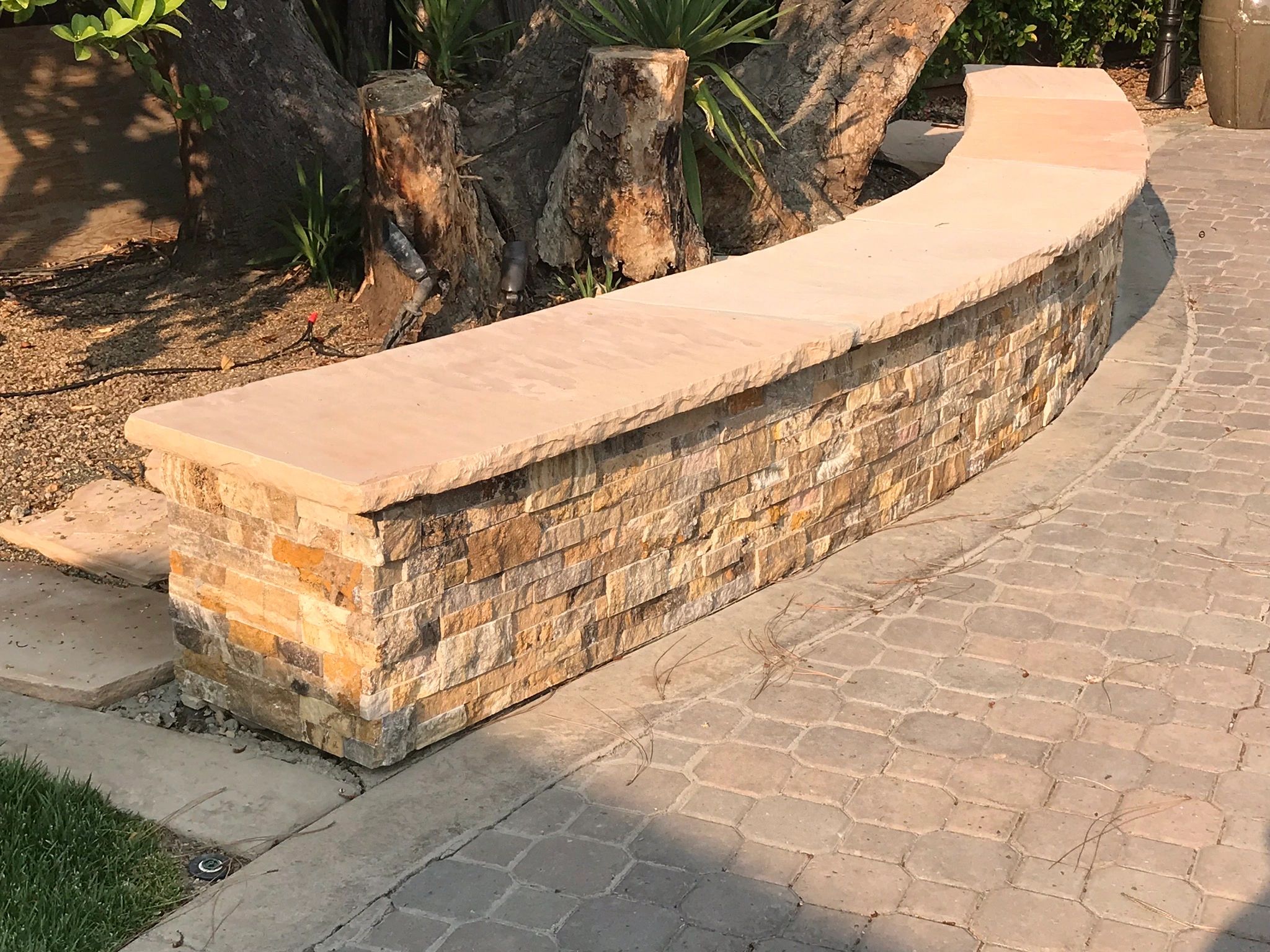 Stone bench beside tree and paved path
