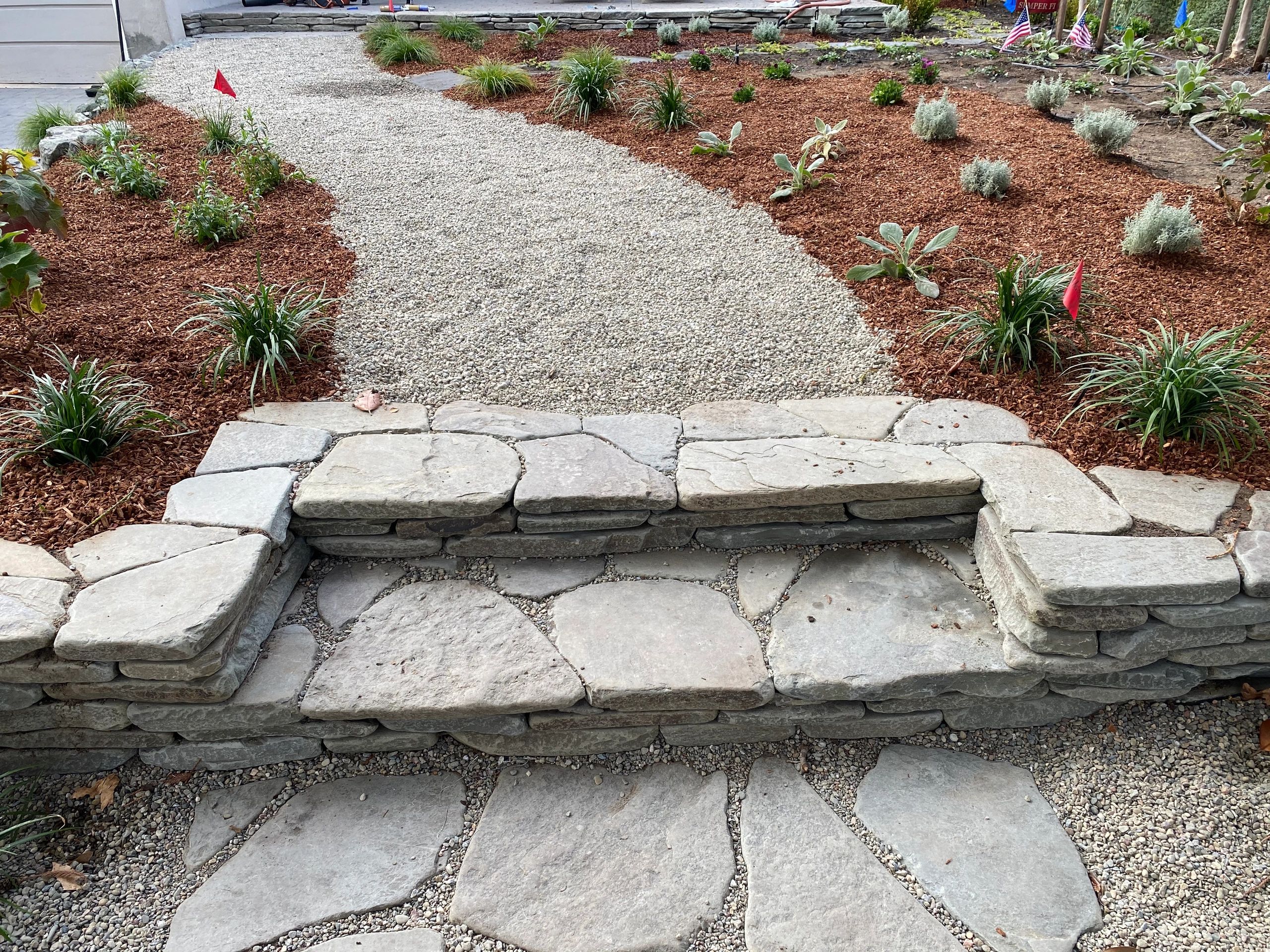 Garden path with plants and stones