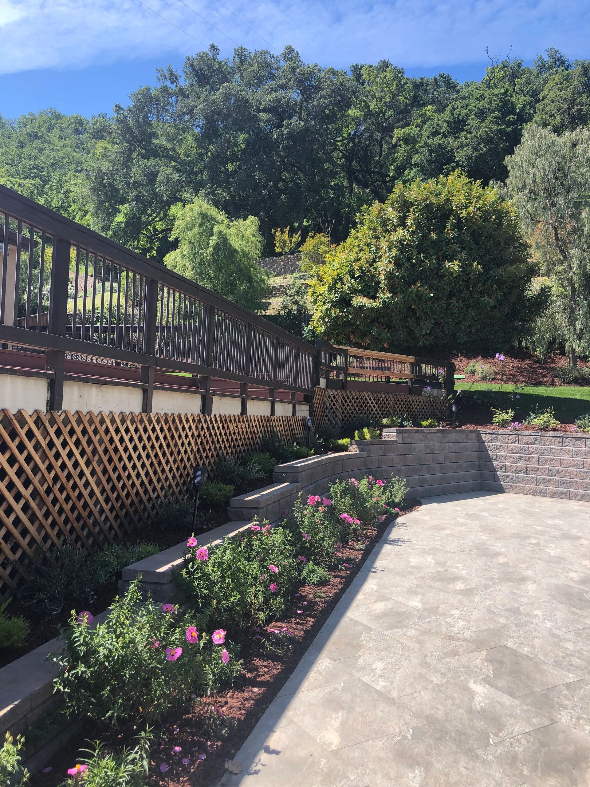 Scenic backyard with trees and flowering plants.
