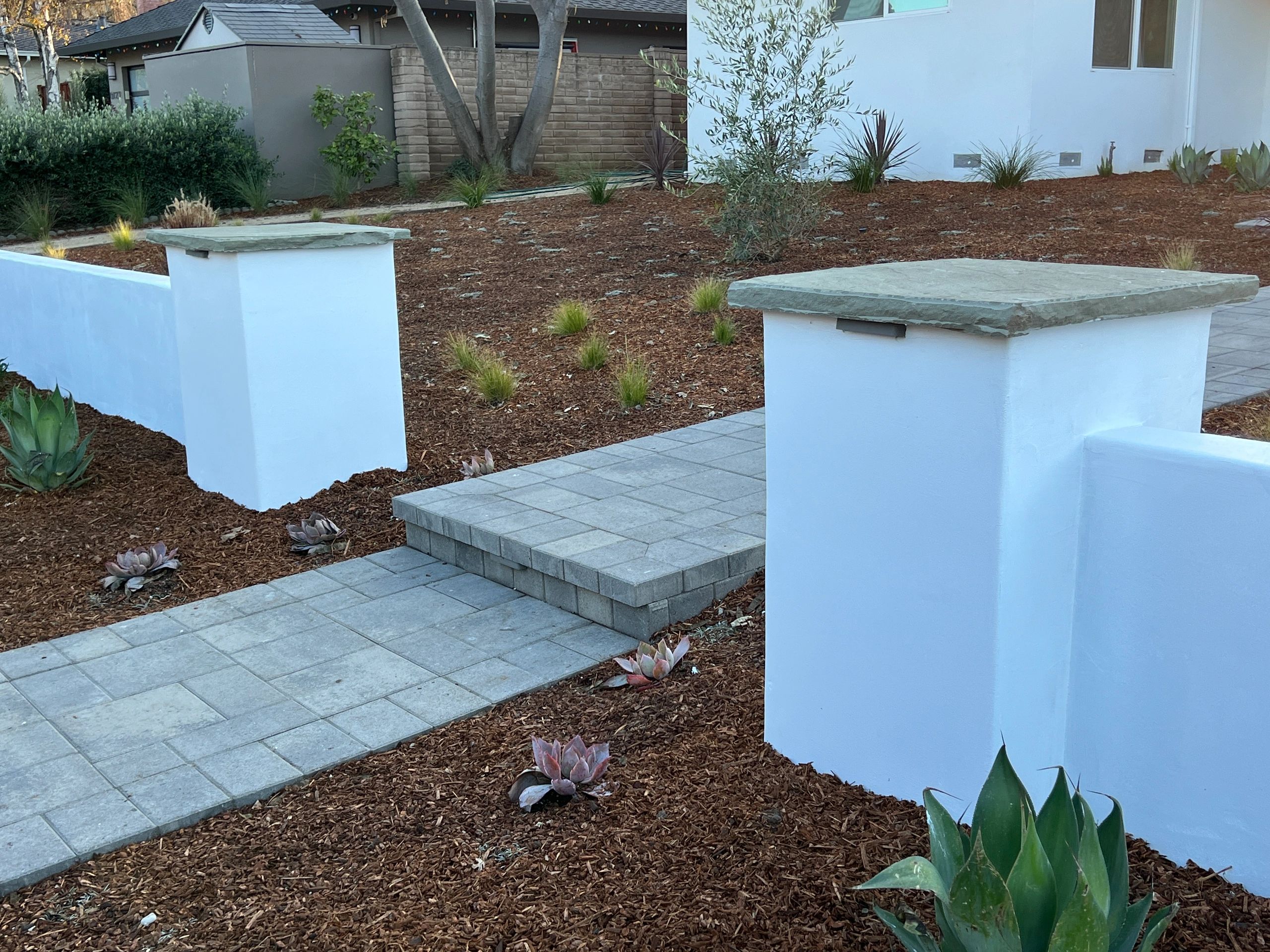 Modern garden with stone pathway