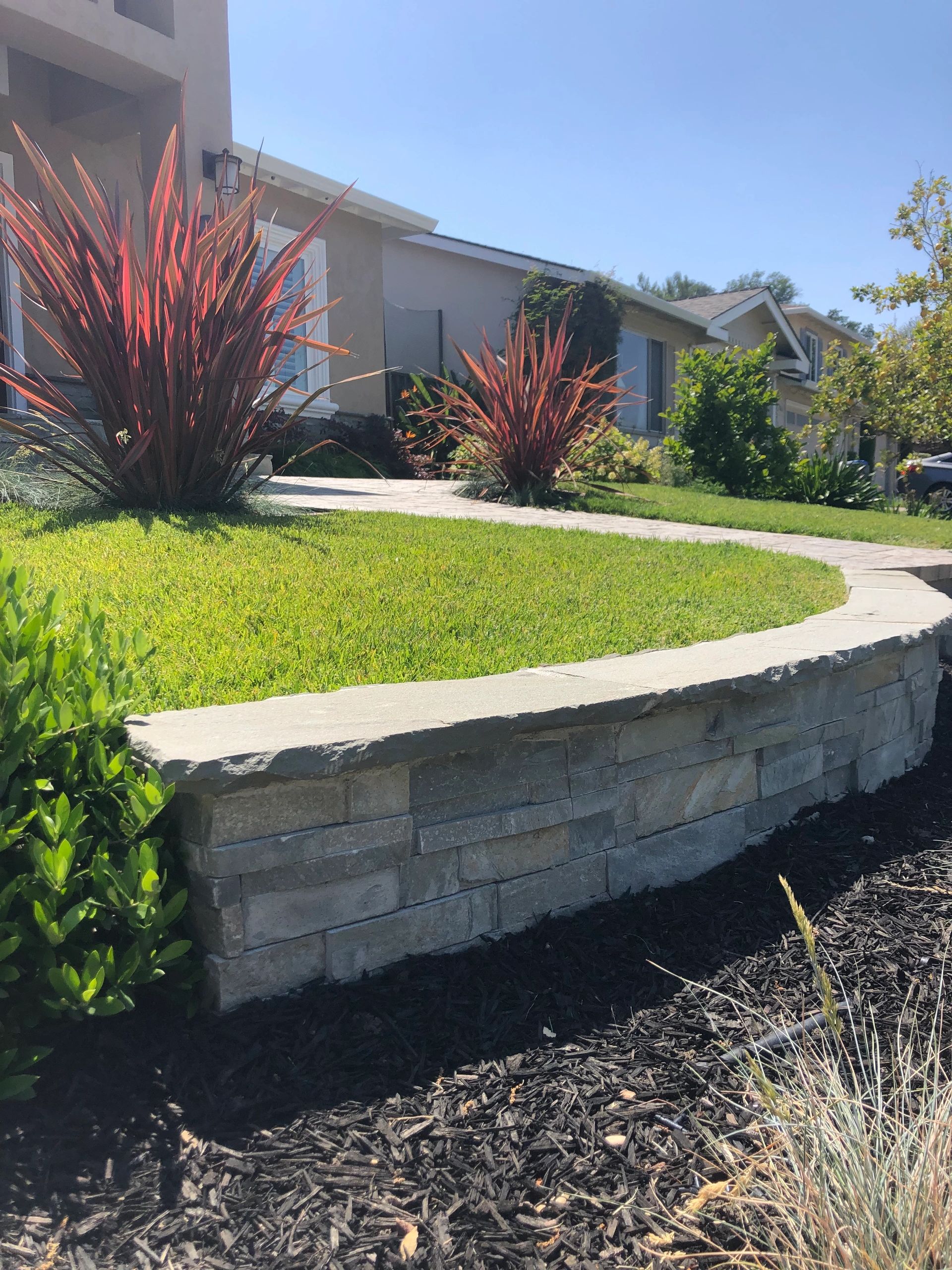 Modern front yard landscaping with plants