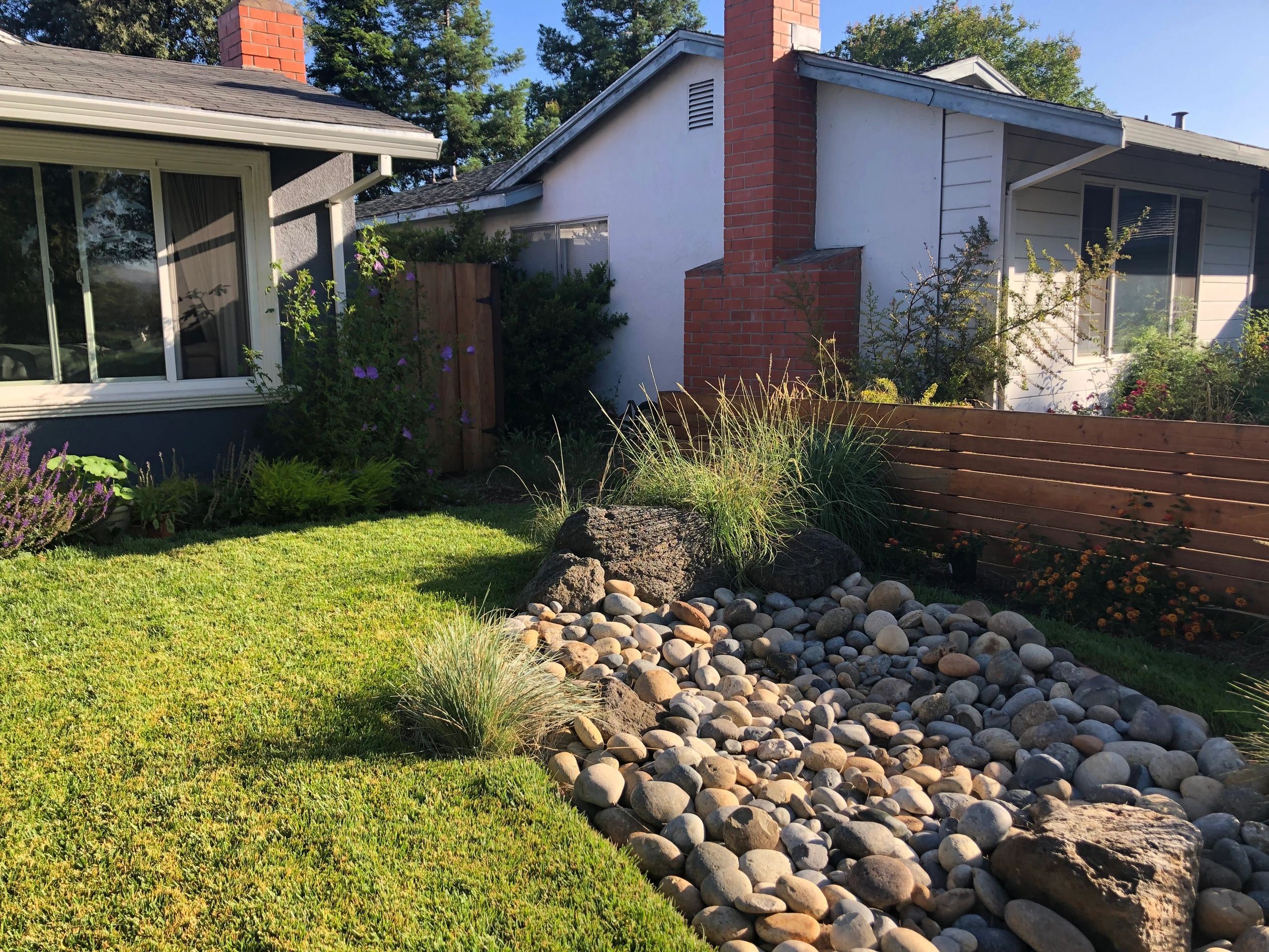 Rock garden and lawn in sunny yard