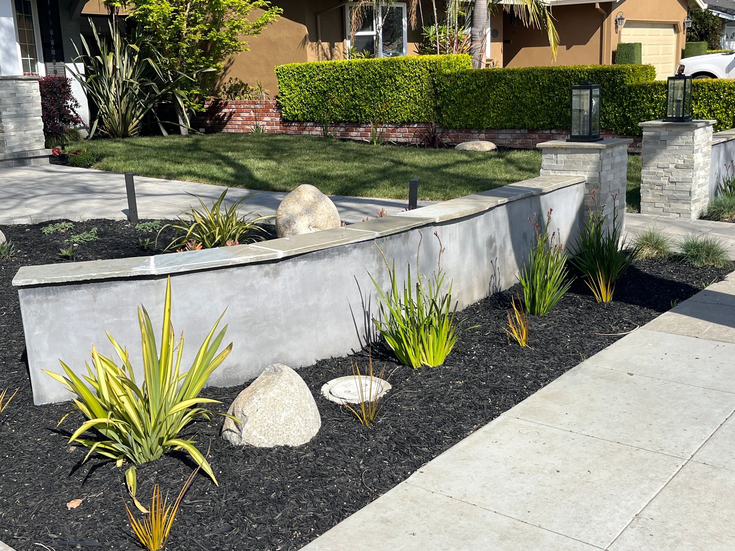 Modern garden with concrete wall and plants.