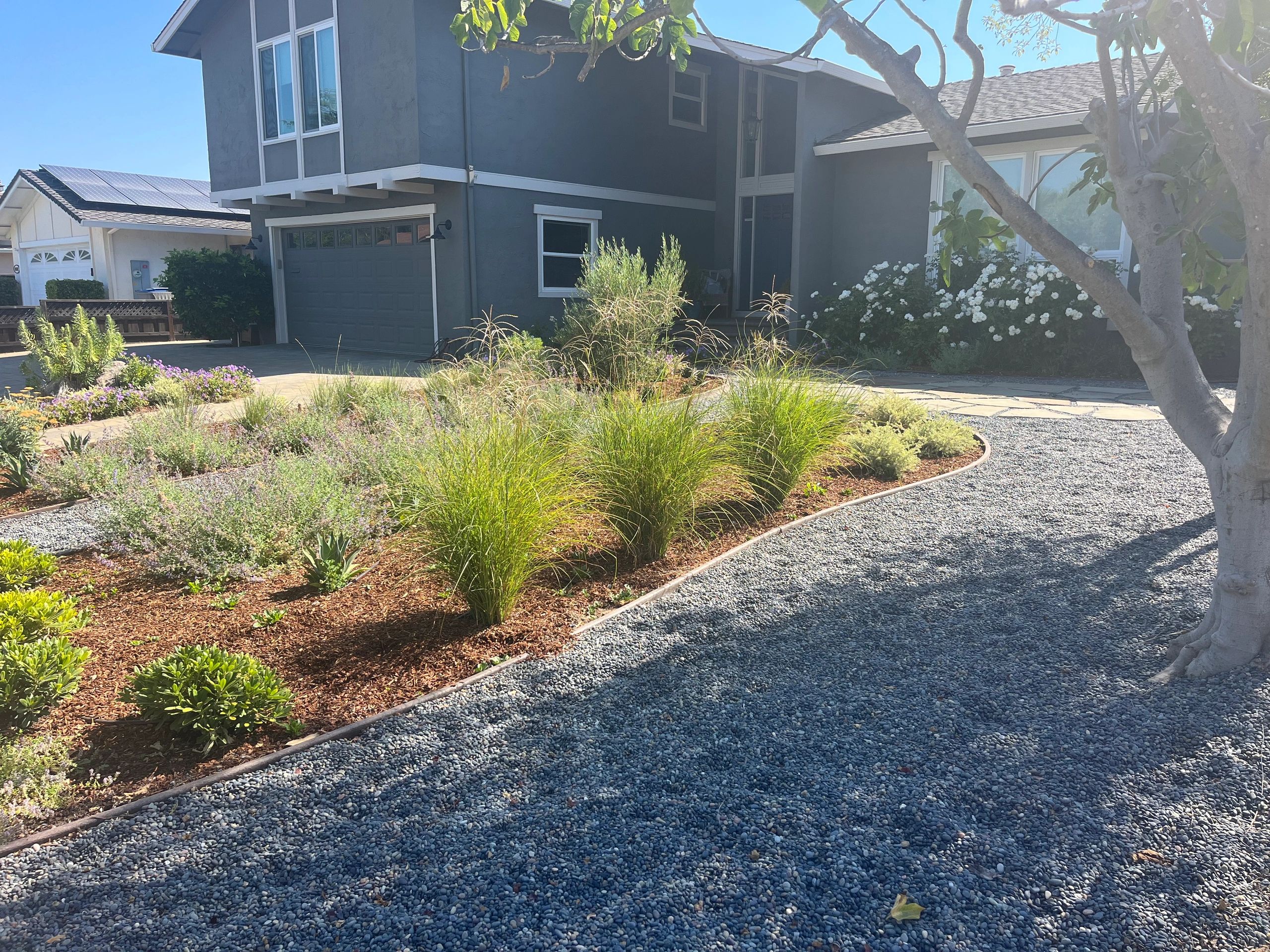 Modern house with landscaped front yard
