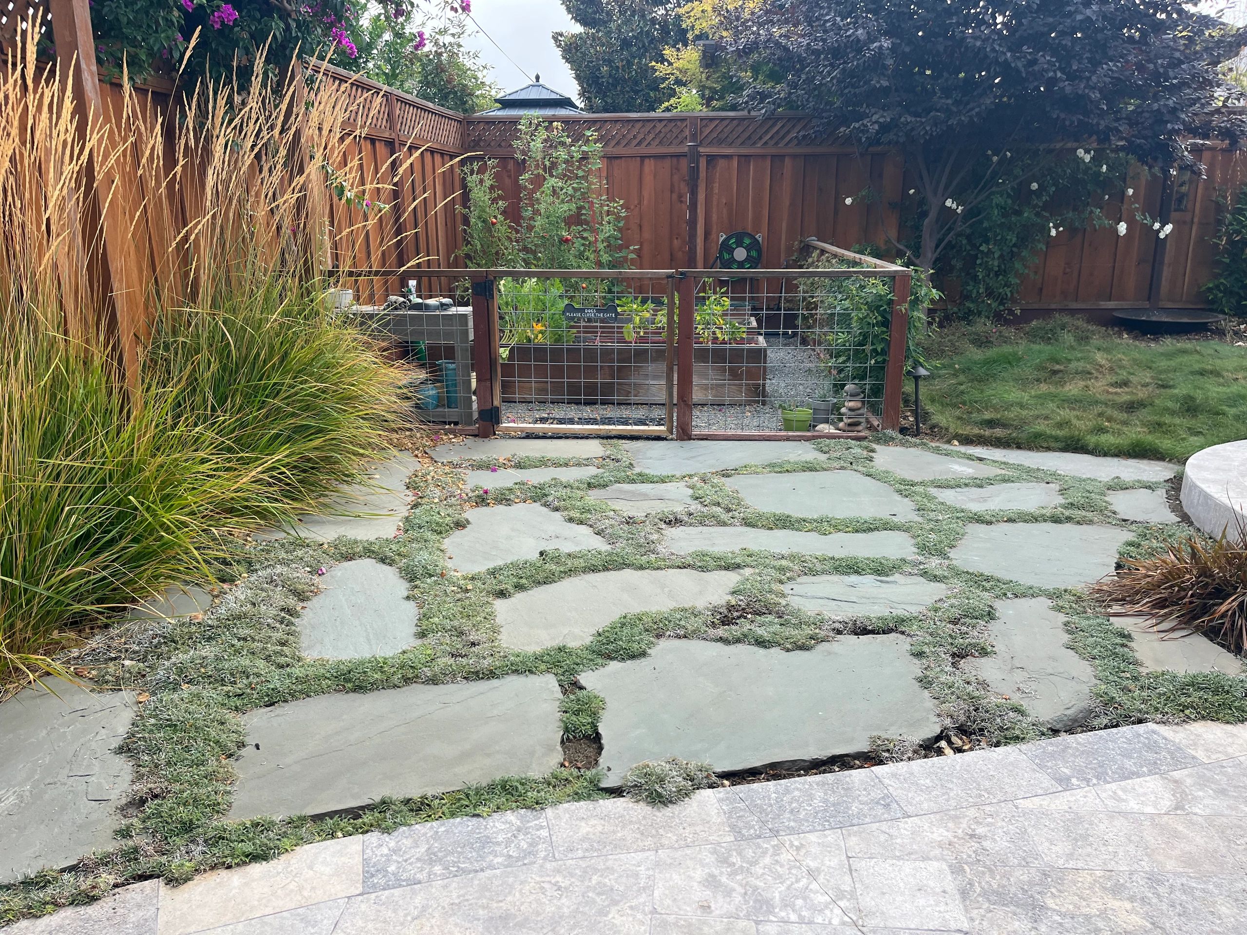Stone path in backyard garden