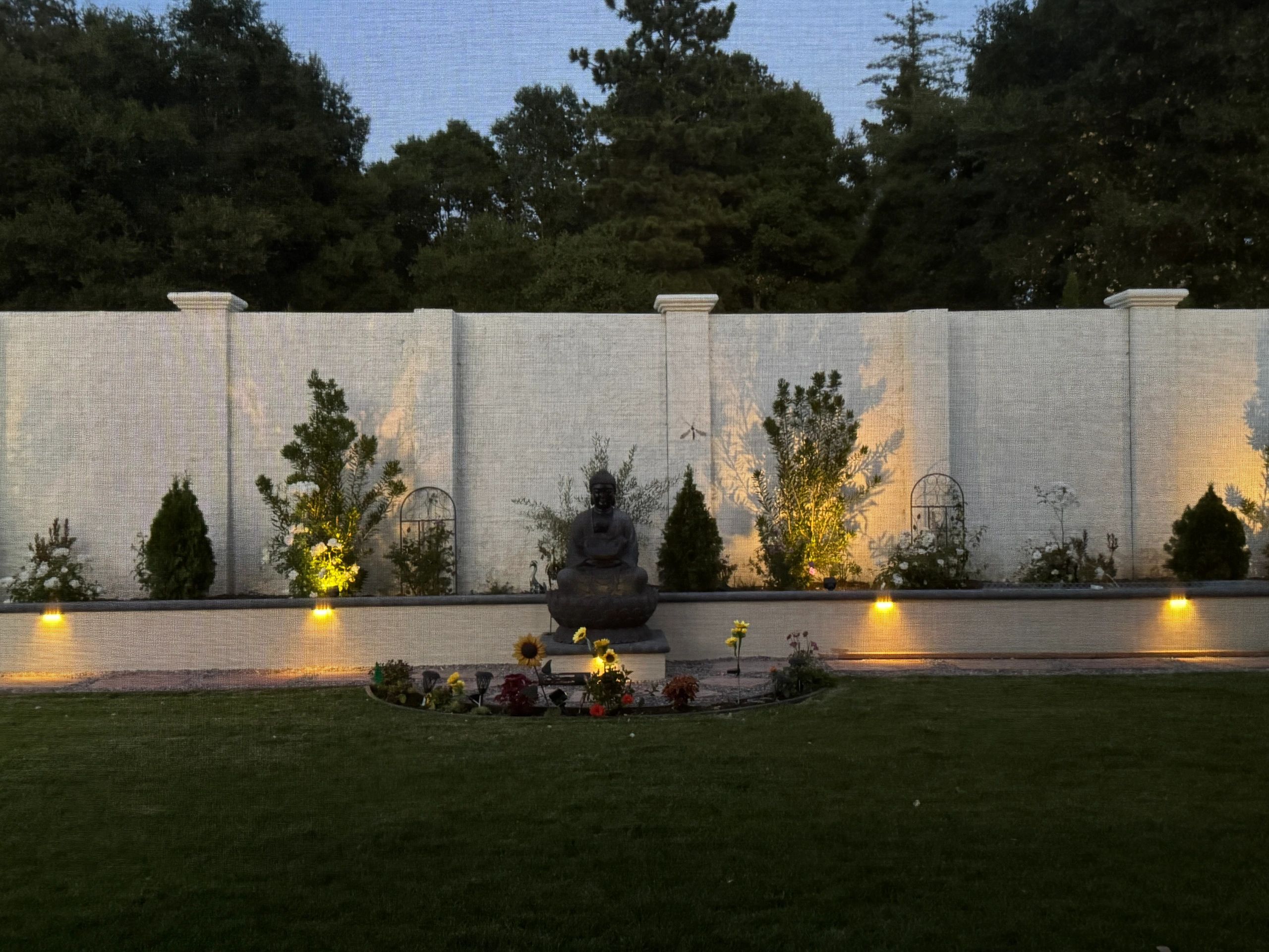 Garden with illuminated wall and greenery