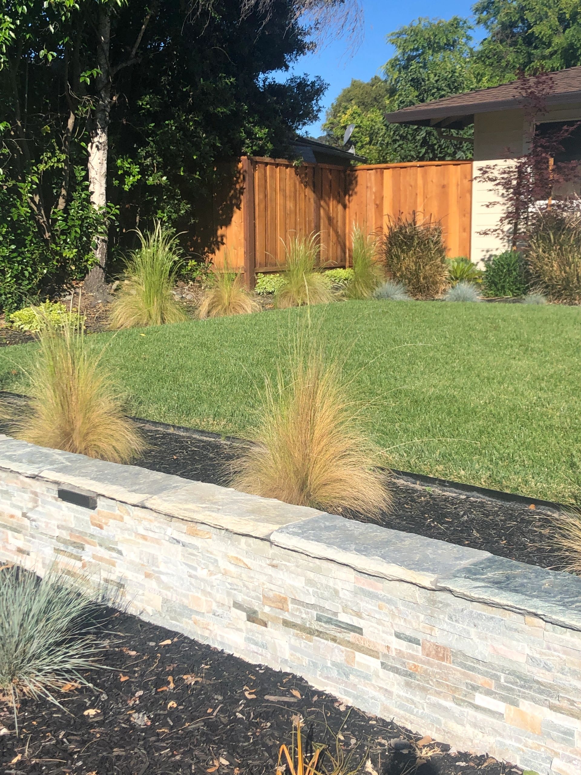 Modern landscaping with ornamental grasses