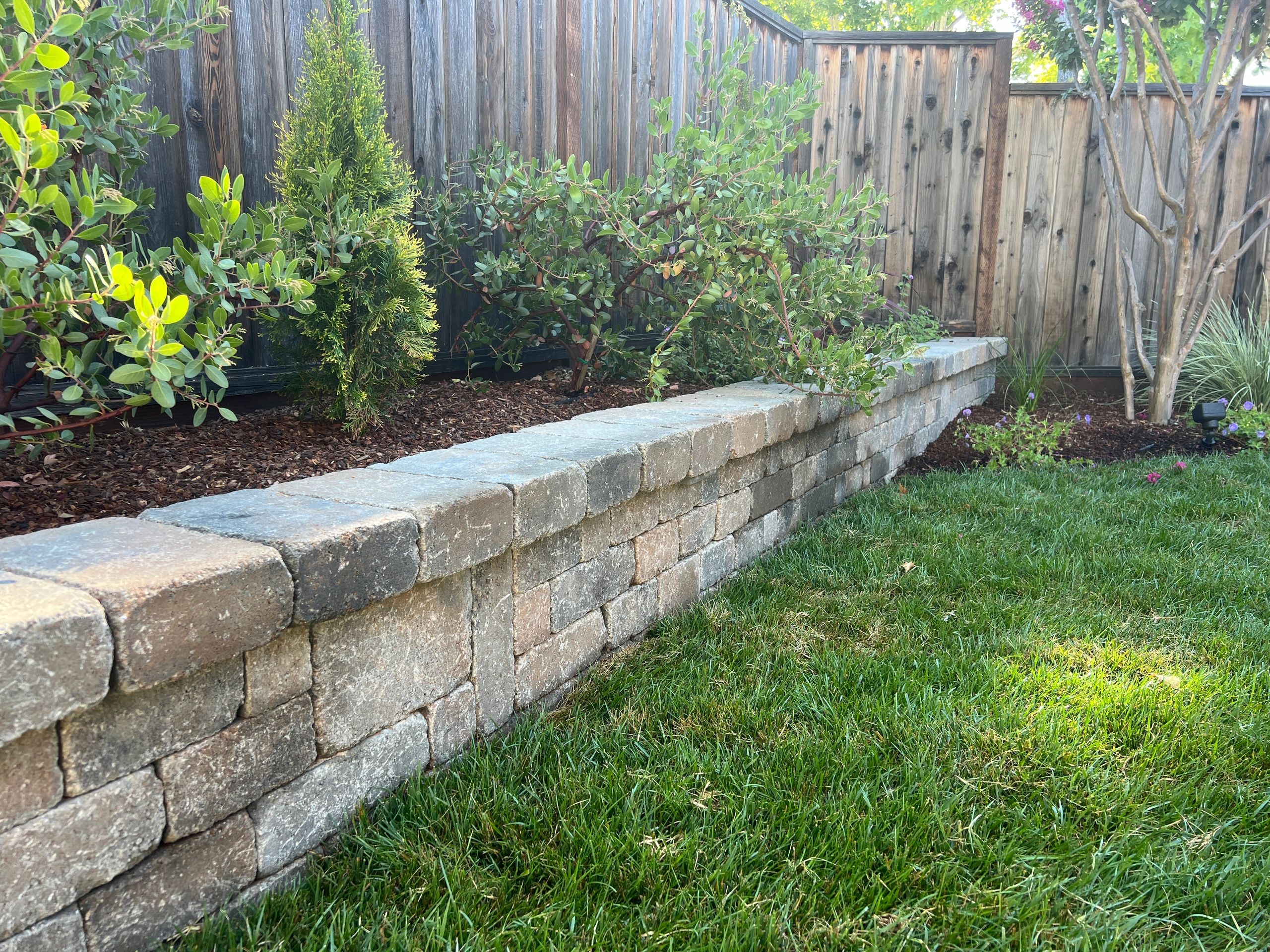 Stone garden wall with plants