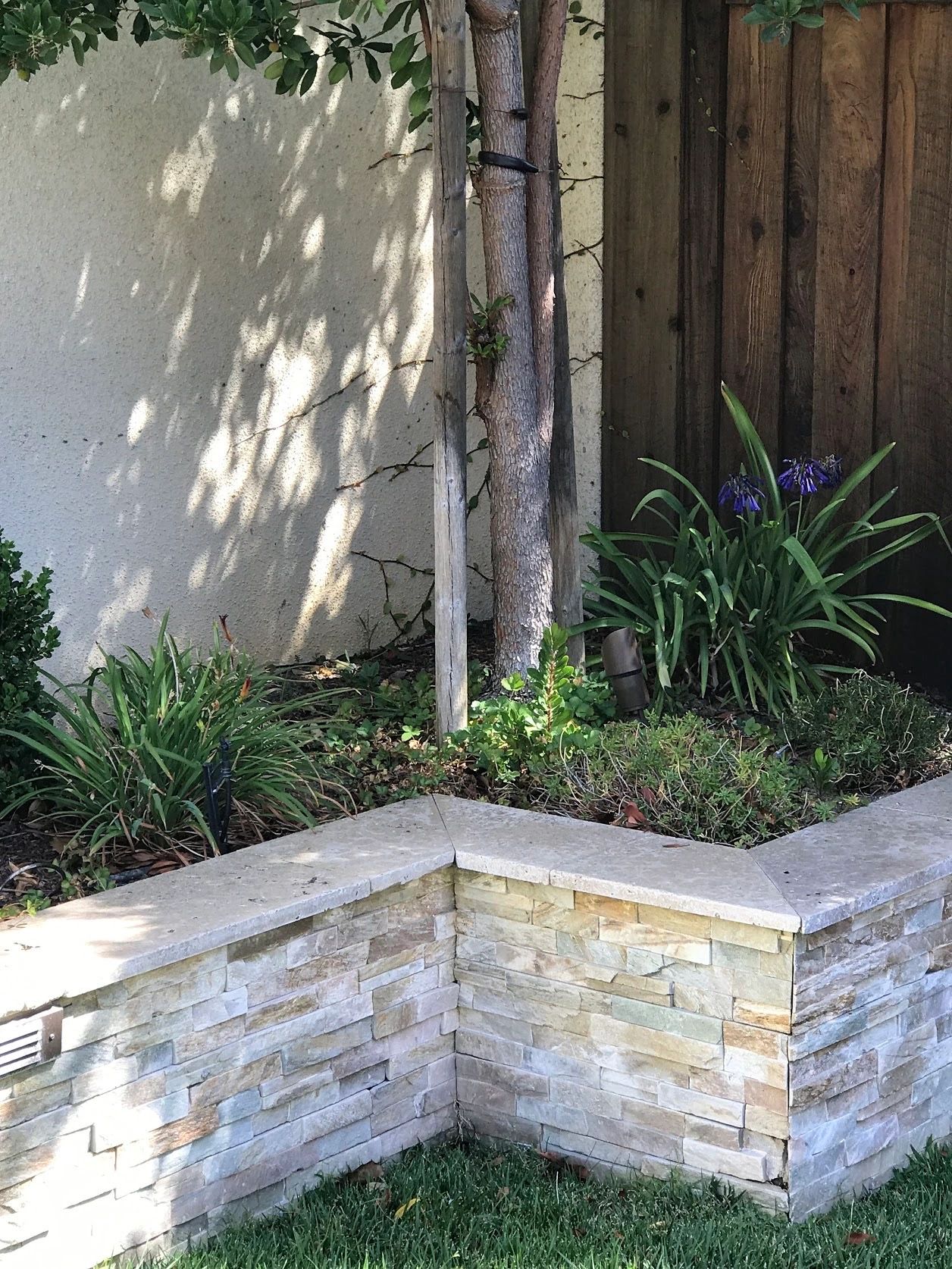 Small garden area with plants
