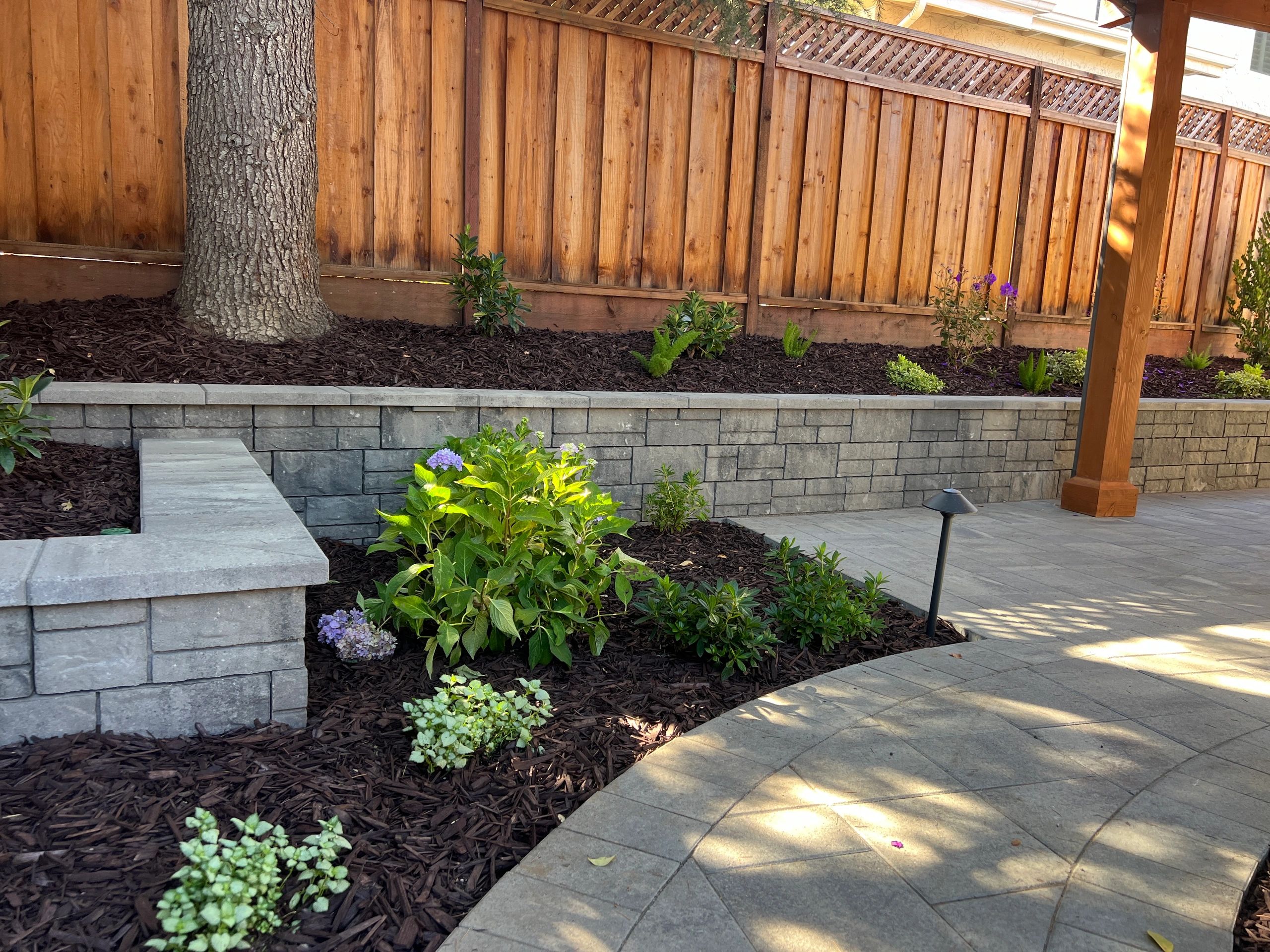 Landscaped garden with mulch and plants.
