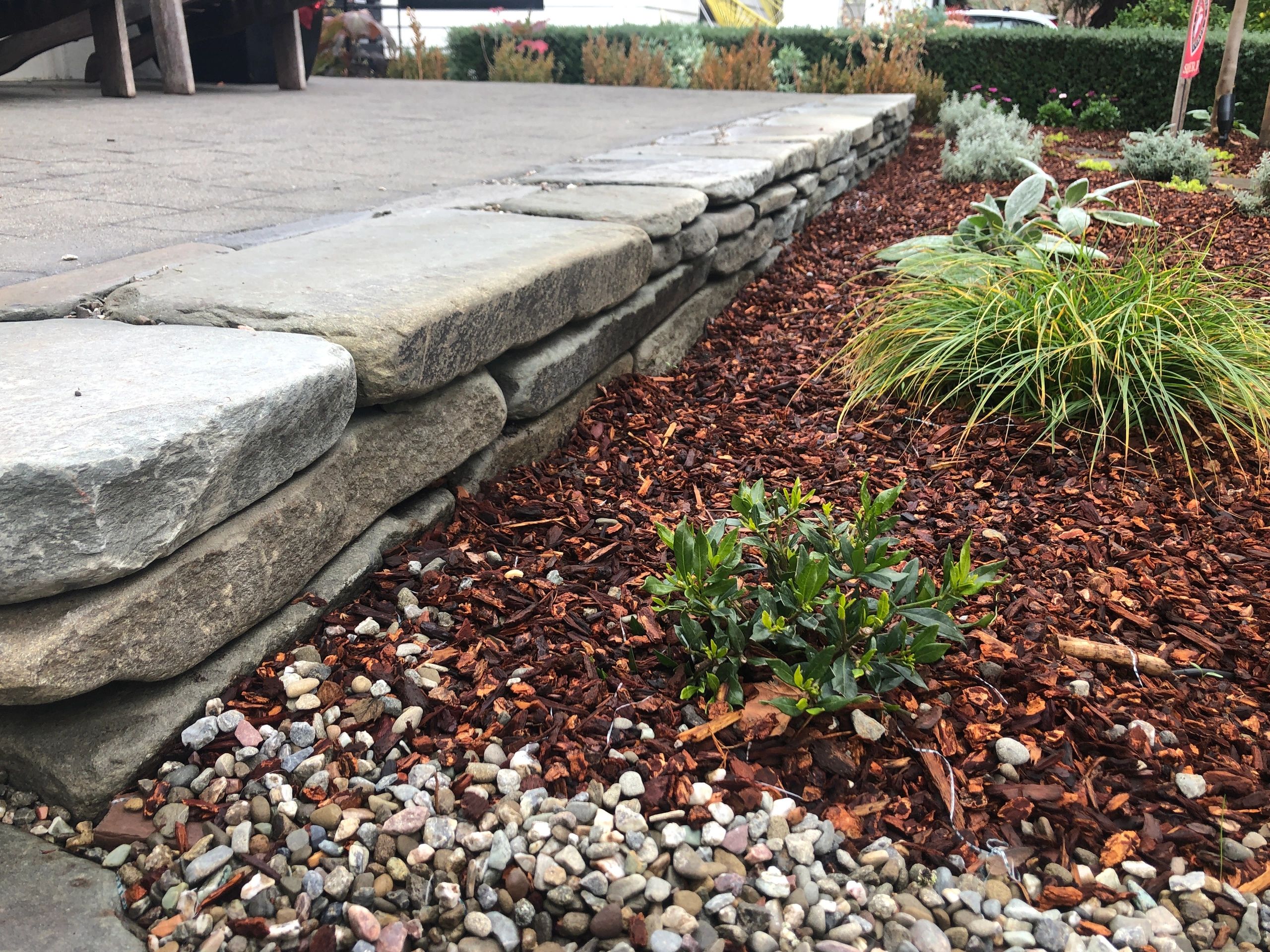 Stone wall and garden with mulch