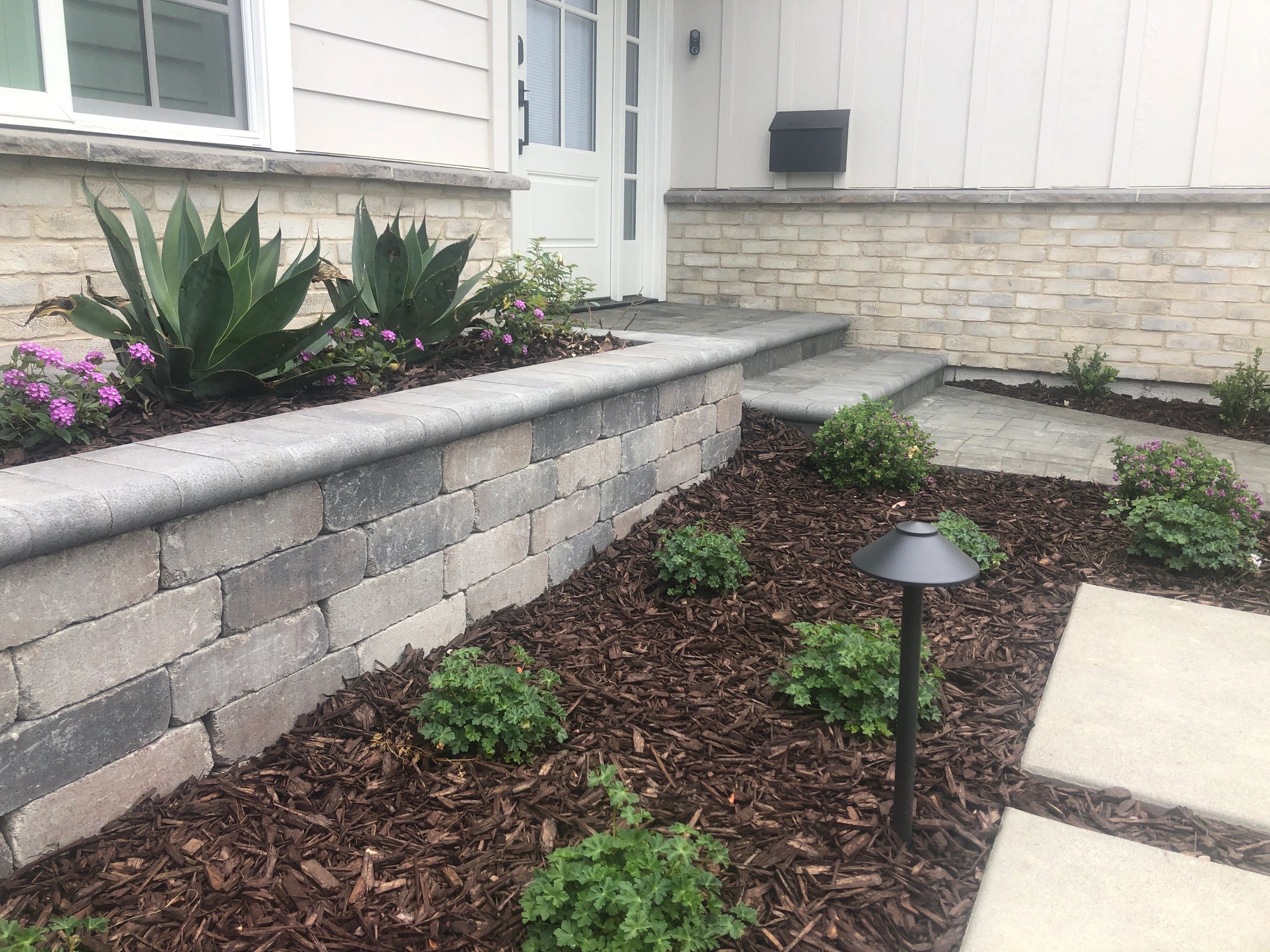 Modern garden landscaping with small shrubs