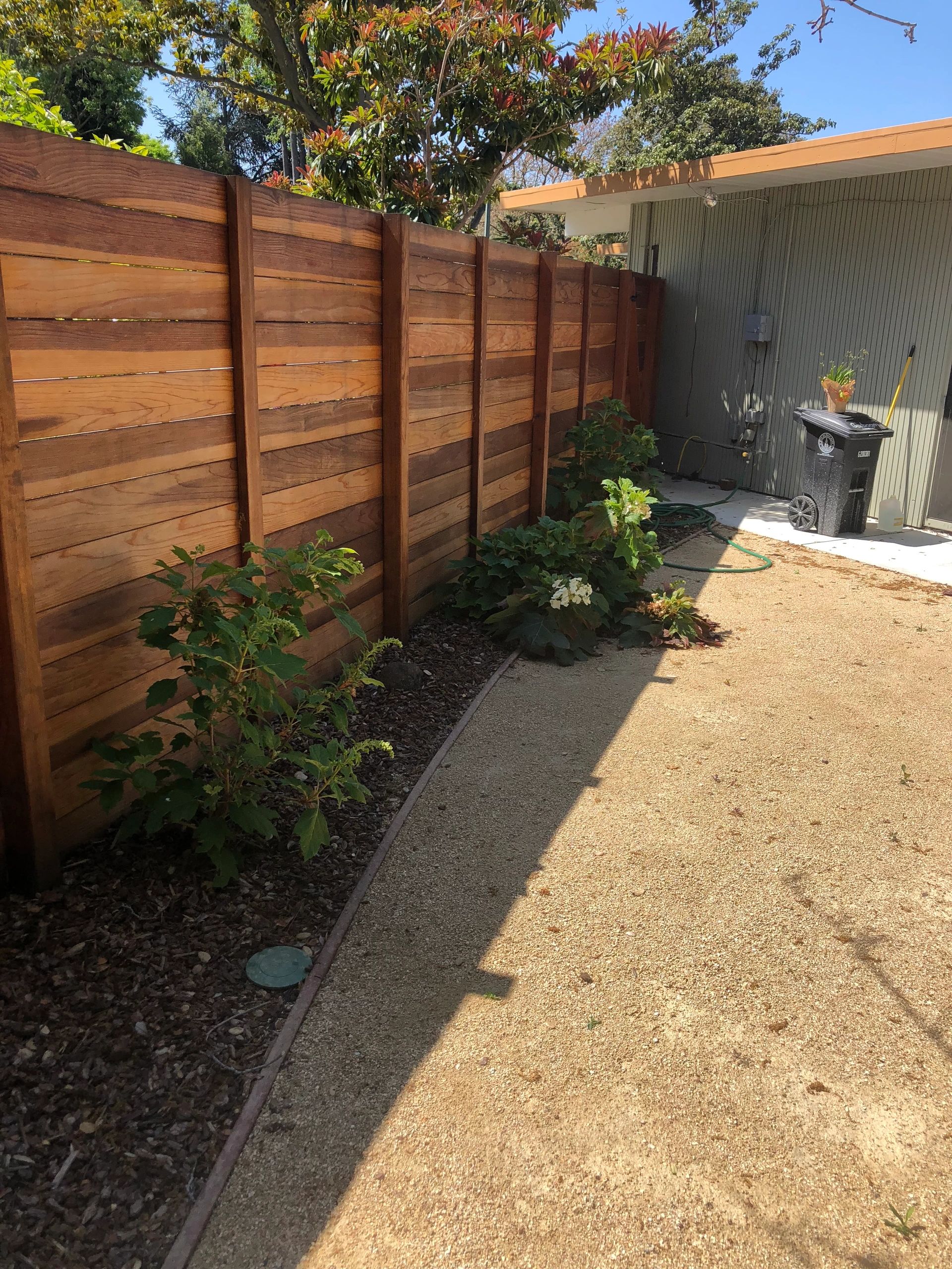 Garden path alongside wooden fence