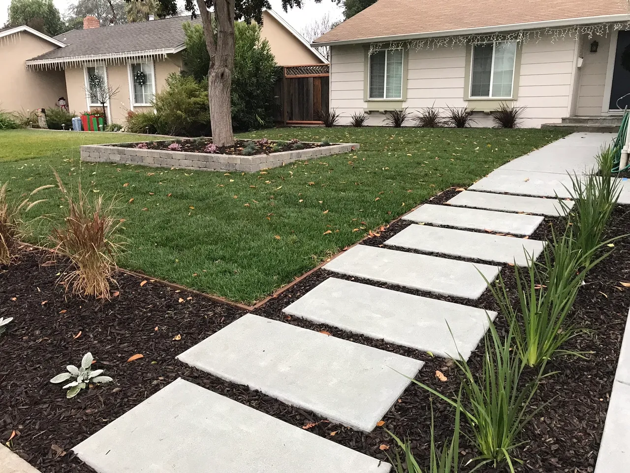 Modern front yard with concrete path