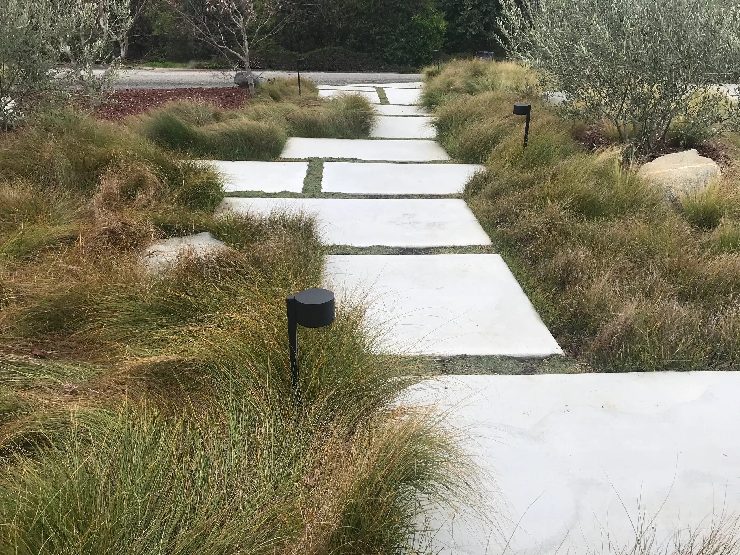 Modern garden path with stepping stones